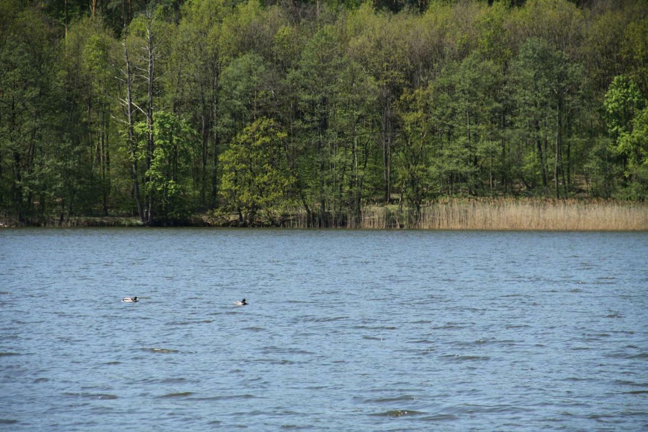Lake View Apartamenty Brodnica  Kültér fotó